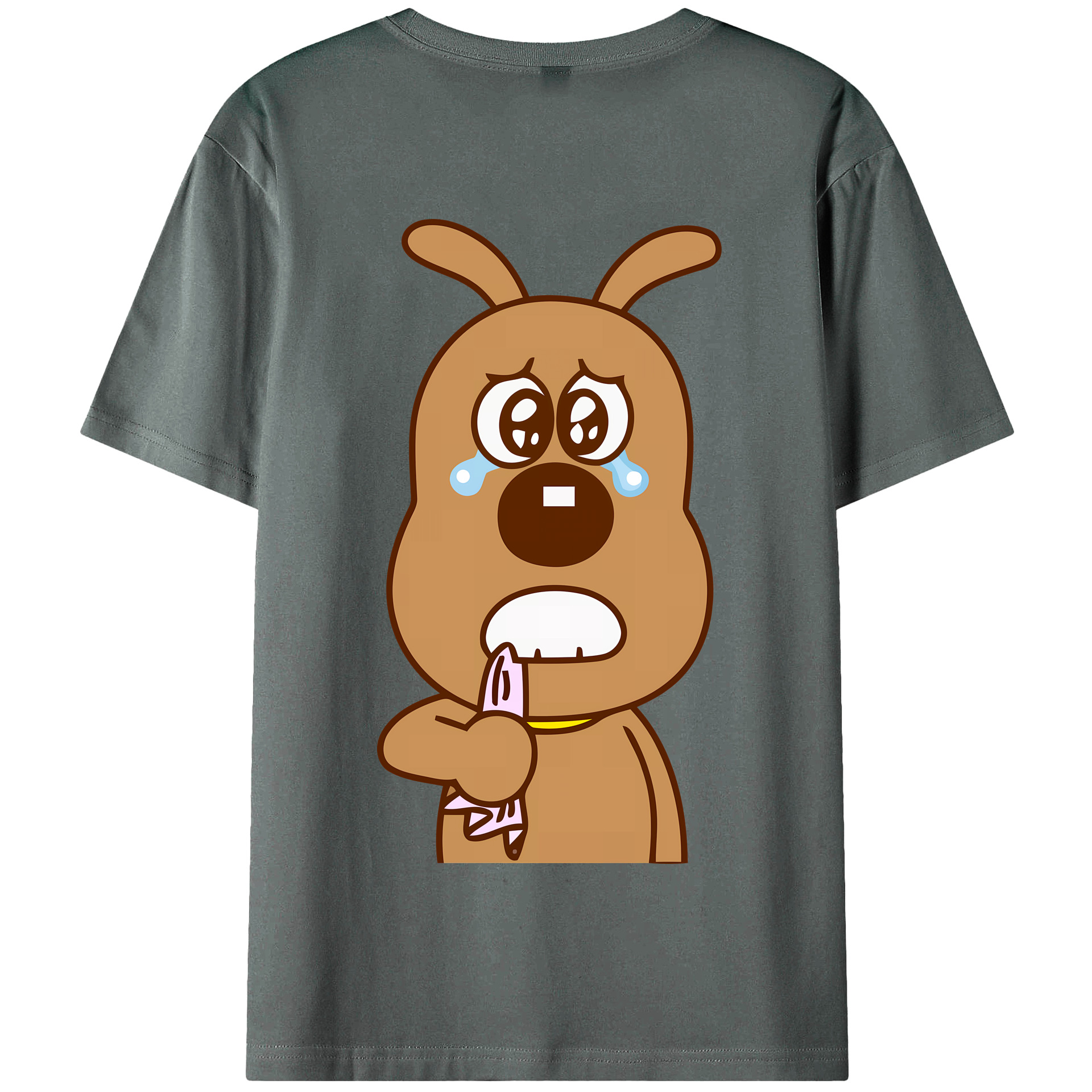 （画像用） アンパンマン Anpanman 綿100％半袖Tシャツ（背面プリント）